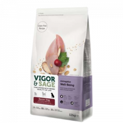 Vigor & Sage Astragalus Well-Being – Nourriture pour...