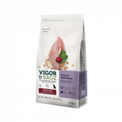 Vigor & Sage Astragalus Well-Being – Nourriture pour...